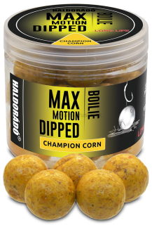 Boilies HALDORADO Max Motion Boilie Dipped 80g 20mm Champion Corn